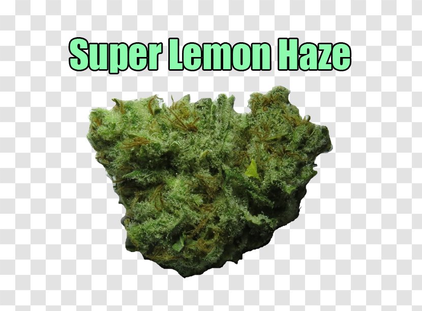 Haze Skunk Cannabis Sativa Flavor - Fruit Transparent PNG