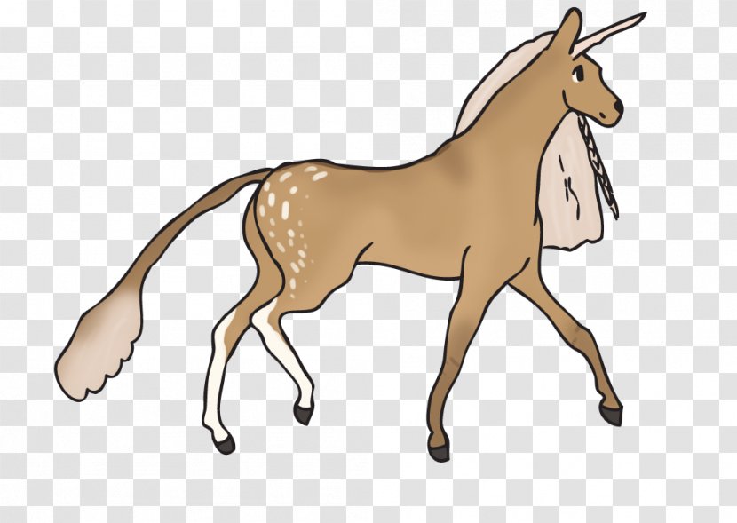 Mule Foal Stallion Mare Colt - Mustang Horse - Donkey Transparent PNG