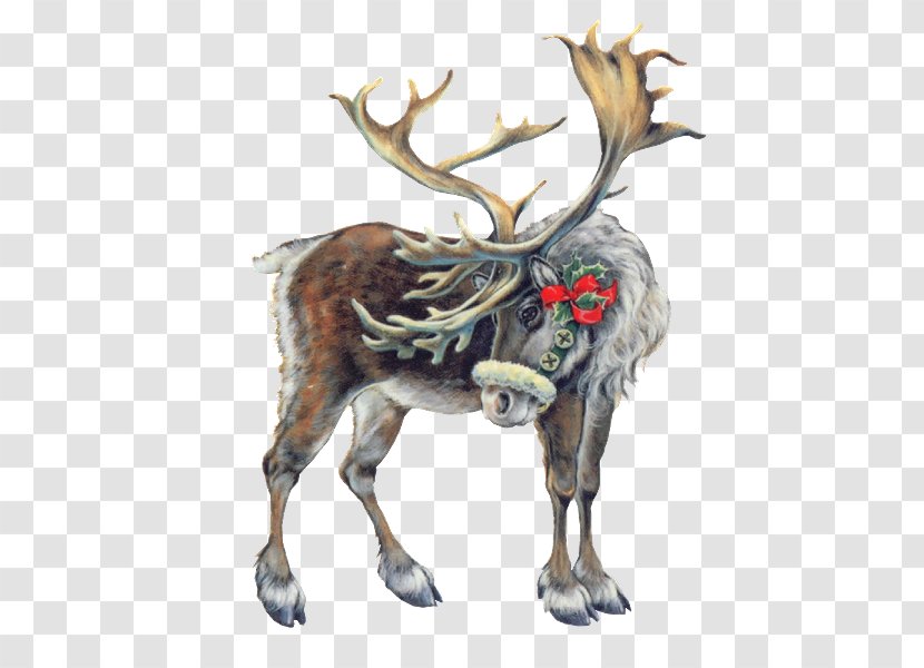 Pxe8re Noxebl Lapland Reindeer Santa Claus Christmas - Deer Transparent PNG