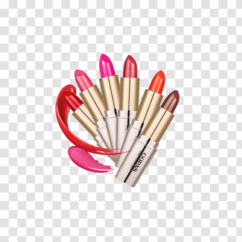 Lip Balm Lipstick Make-up - Makeup Transparent PNG