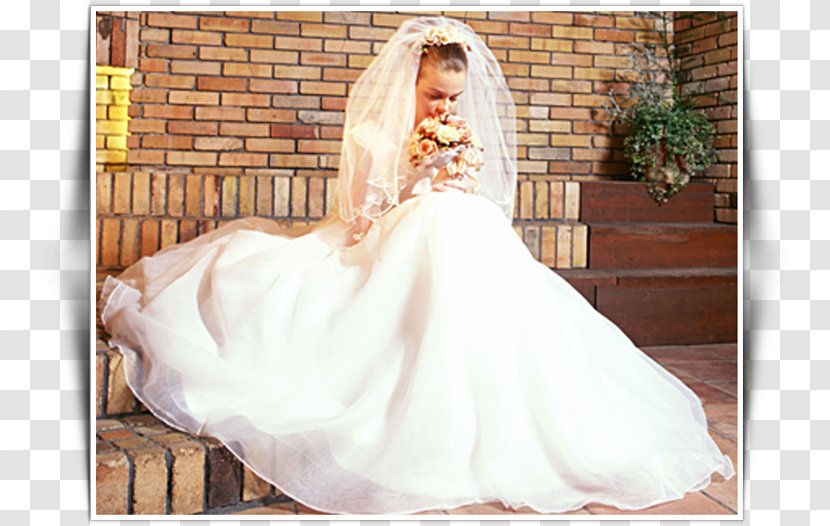 Wedding Dress Bride Portrait Photography - Watercolor Transparent PNG