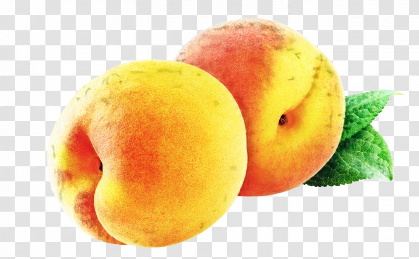 Peach Dried Fruit Smoothie Juice Food - Plum Transparent PNG