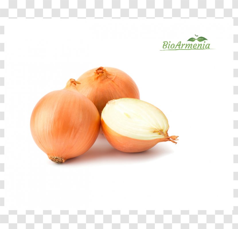 Yellow Onion White Garlic Vegetable Shallot - Natural Foods Transparent PNG