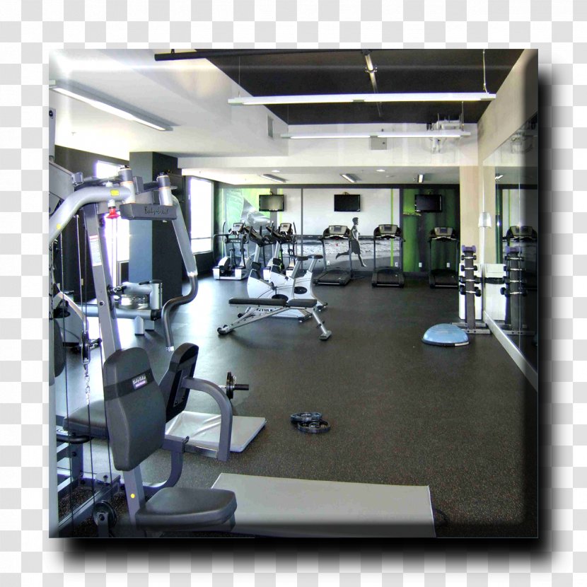 Fitness Centre Exercise Machine Weight Training Physical - Train Room Transparent PNG