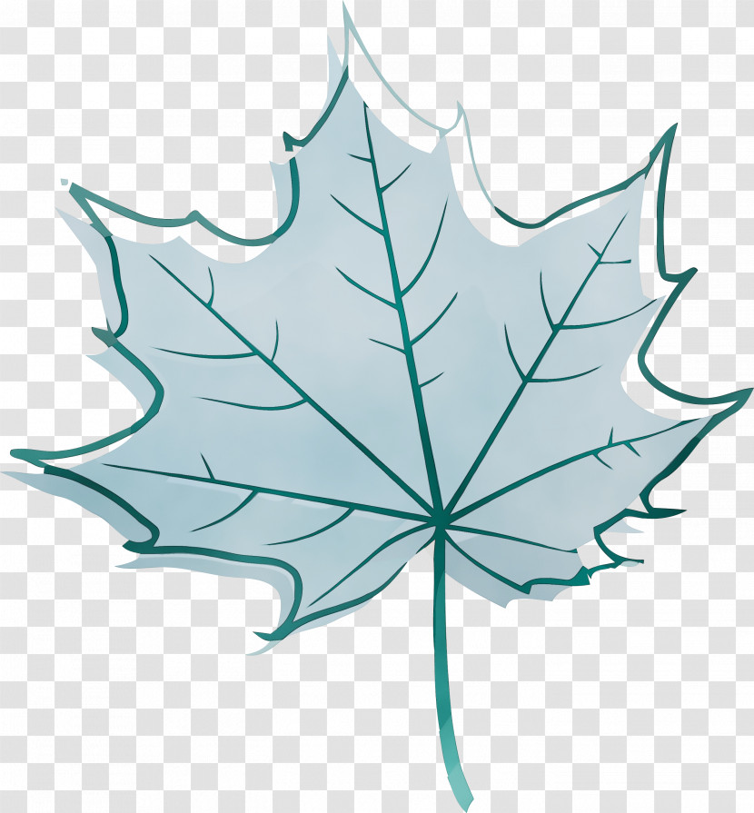 Maple Leaf Transparent PNG