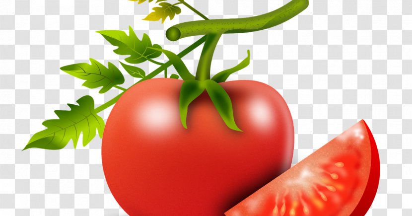 Tomato - Natural Foods - Food Vegan Nutrition Transparent PNG