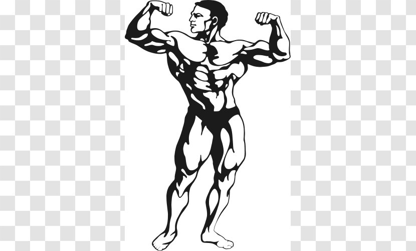Female Bodybuilding Physical Fitness Clip Art - Human Leg - Strong Man Clipart Transparent PNG
