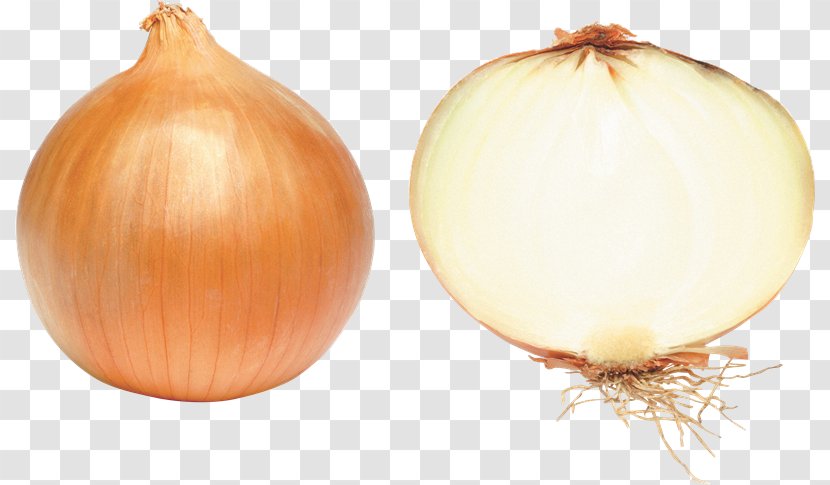 White Onion Red Vegetable - Vegetarian Food Transparent PNG