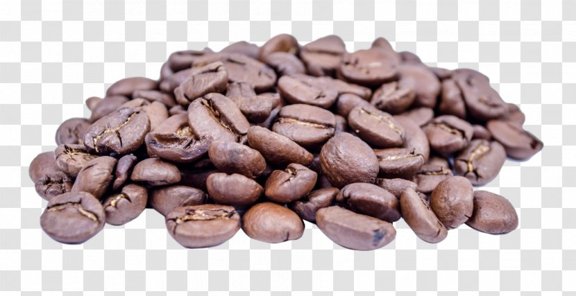 Coffee Espresso Cappuccino Chemistry Caffeine - Bean Transparent PNG