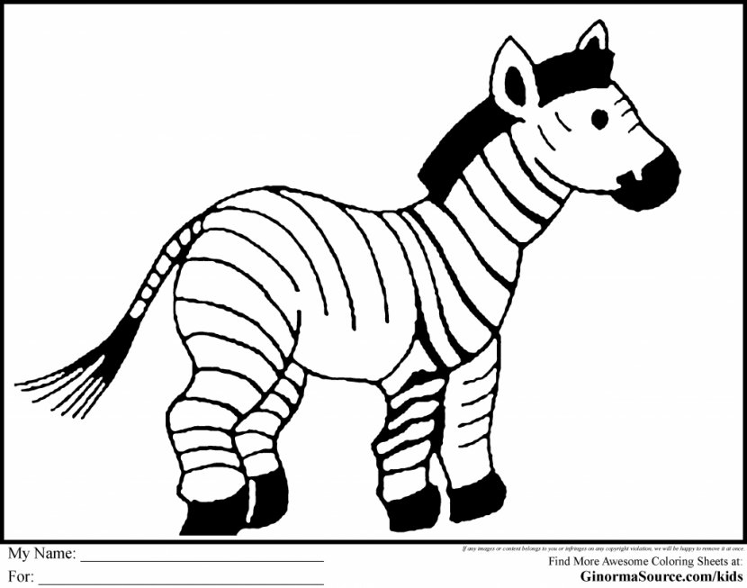 Coloring Book Zebra Horses Foal Drawing Transparent PNG