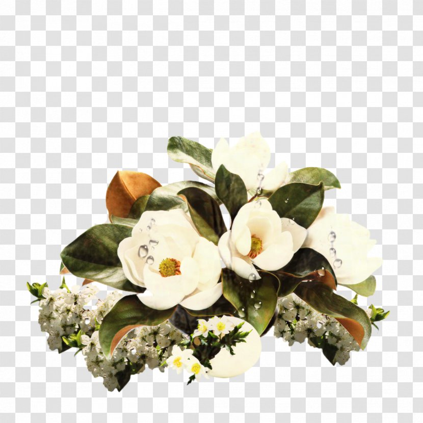 Cut Flowers Floral Design Flower Bouquet Flowering Plant - Dendrobium Transparent PNG