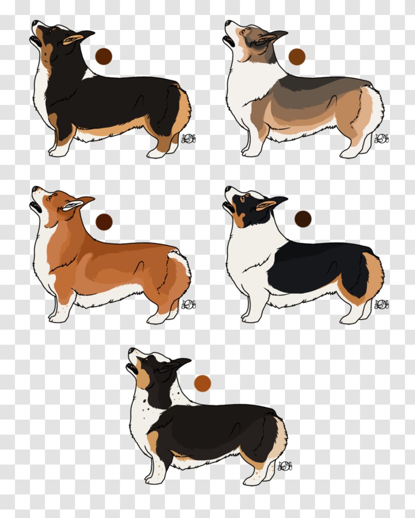 Dog Breed Illustration Cartoon - Corgi Husky Mix Transparent PNG