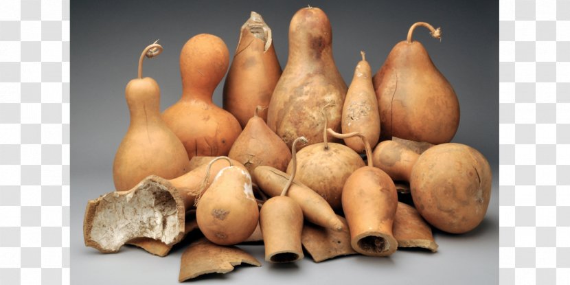 Gourd Mate Shallot Vegetable Calabash - Pyrography Transparent PNG