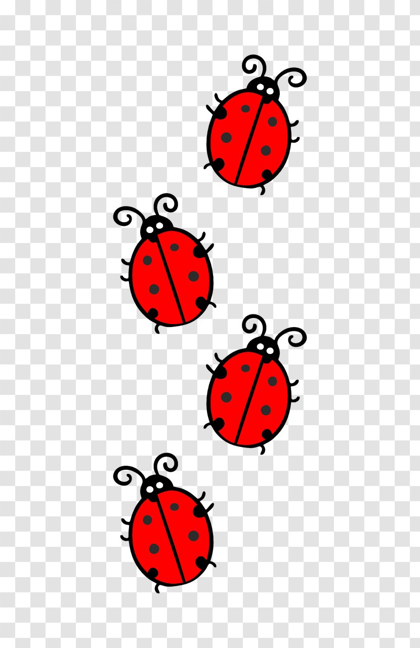 Ladybird Beetle Clip Art - Area Transparent PNG