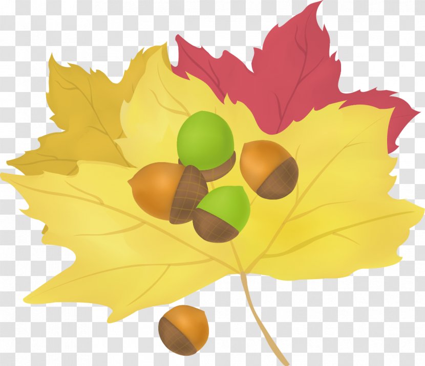 Maple Leaf Cartoon - Flowering Plant - Autumn Life Icon Transparent PNG
