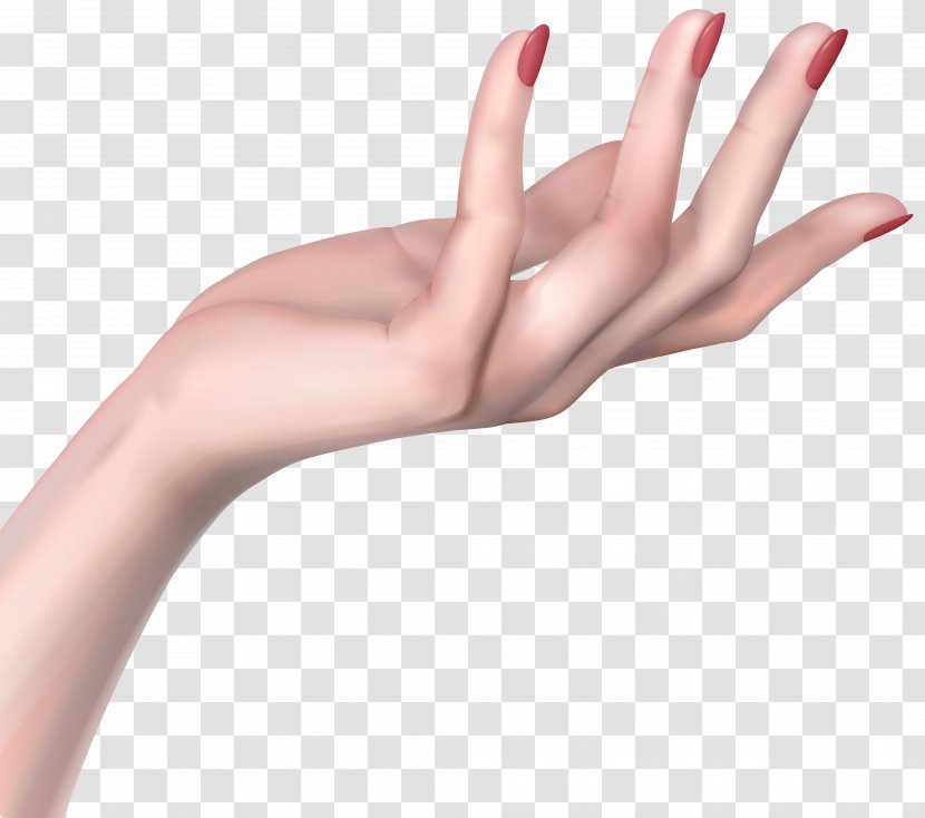 Hand Woman Clip Art - Hands Transparent PNG