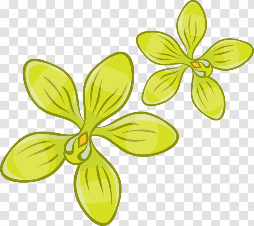 Euclidean Vector Clip Art - Plant - Green Floral Pattern Transparent PNG