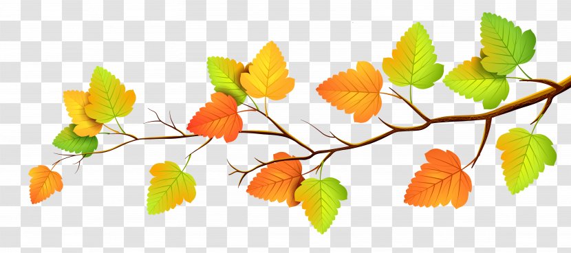 Autumn Leaf Color - Plant Stem - Leaves Transparent PNG