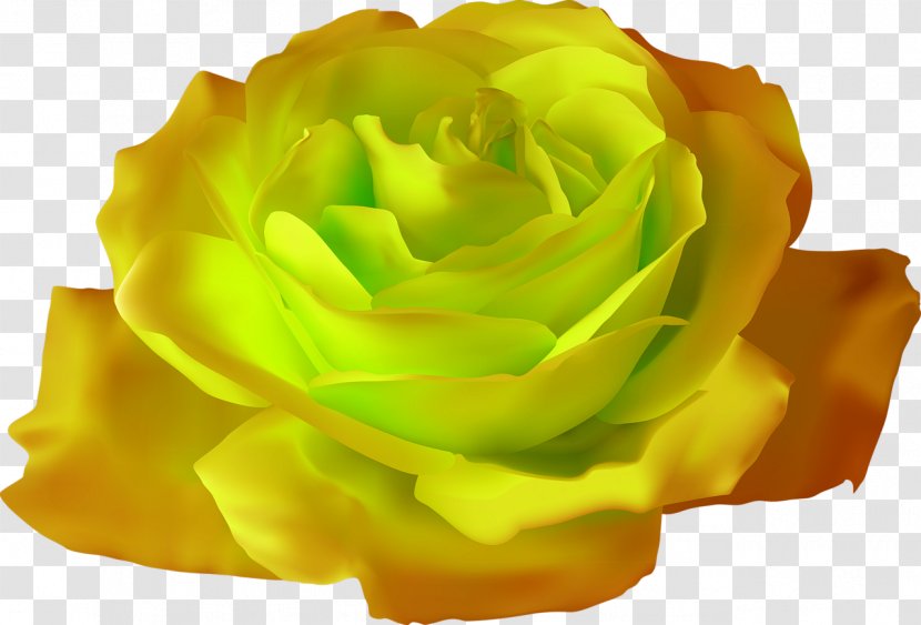 Rose Flower Clip Art - Rasterisation Transparent PNG