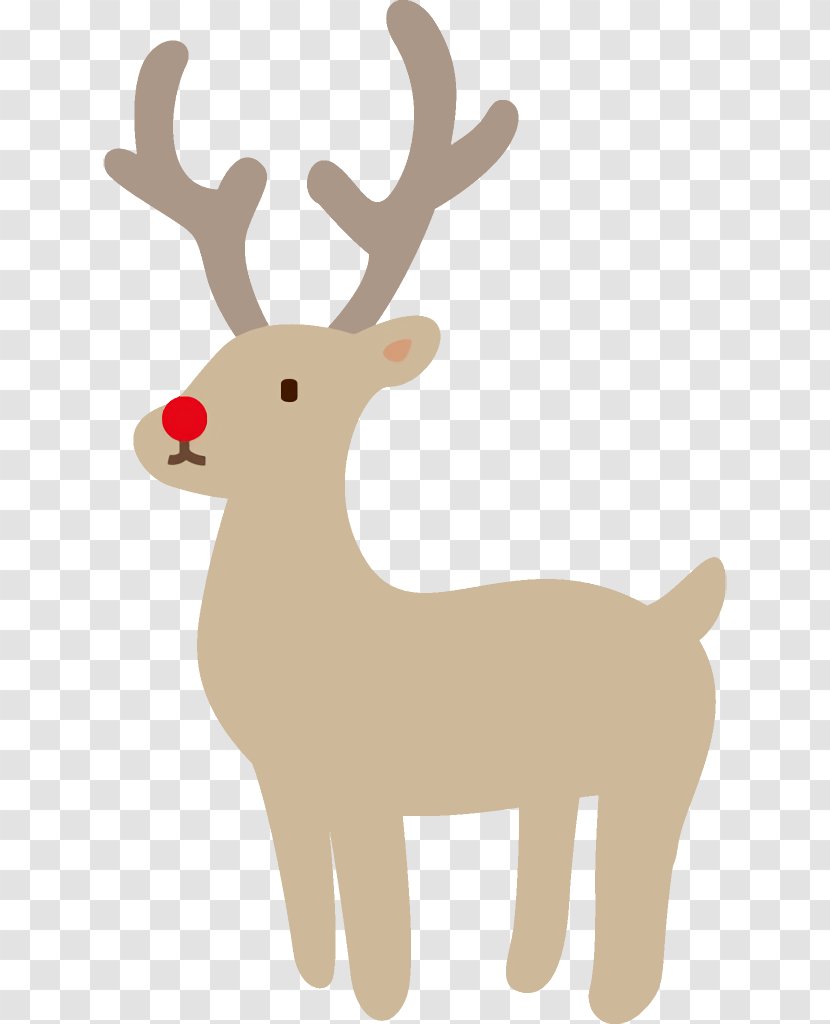 Reindeer Christmas - Wildlife - Roe Deer Tail Transparent PNG