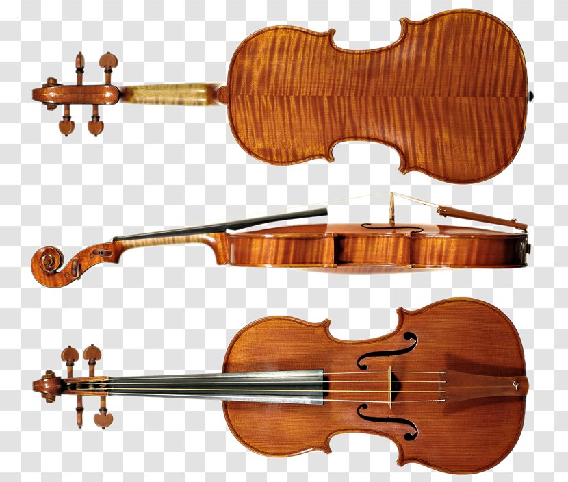 Violin Musical Instruments String Musician - Frame Transparent PNG
