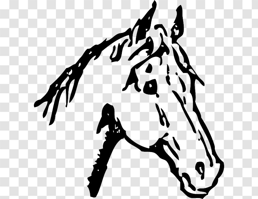 Belgian Horse American Quarter White Drawing Clip Art - Mane - Tribal Transparent PNG