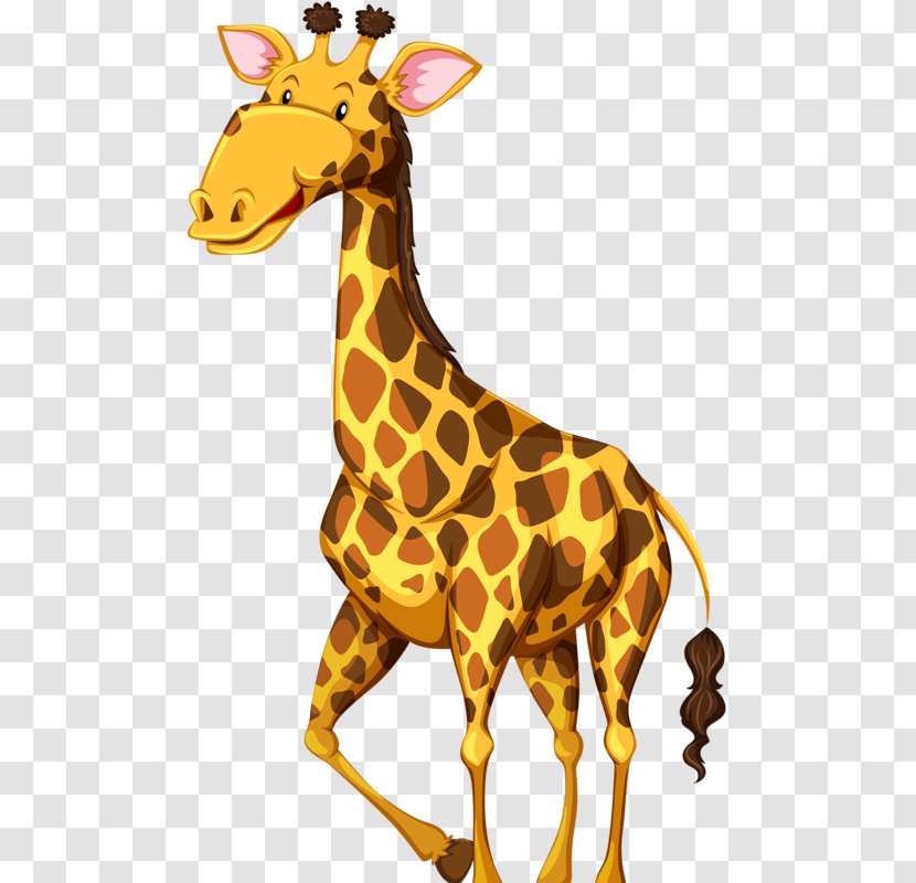 Giraffe Wildlife Royalty-free Illustration - Mammal Transparent PNG