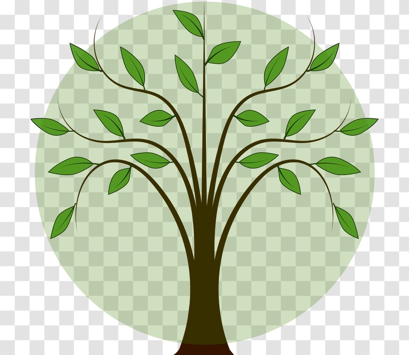 Branch Fall Tree Clip Art Vector Graphics - Plants - Green Transparent PNG