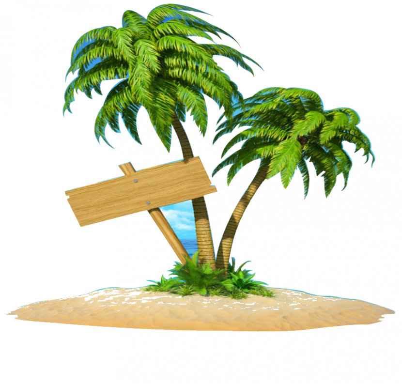 Coconut Clip Art Image Island - Lodoicea Transparent PNG