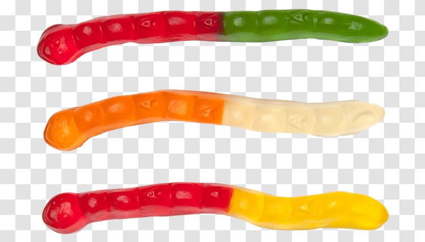 Gummi Candy Gummy Bear Gelatin Dessert Hamburger Worm - Worms Transparent PNG