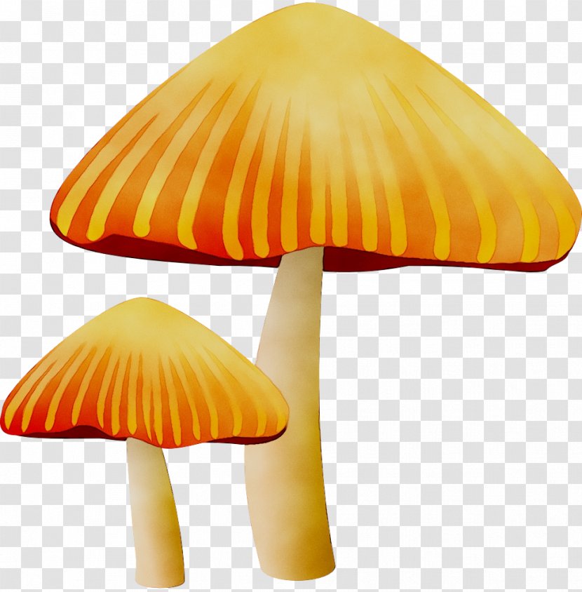 Stencil Fungus Paper Mushroom Pattern - Agaricaceae Transparent PNG