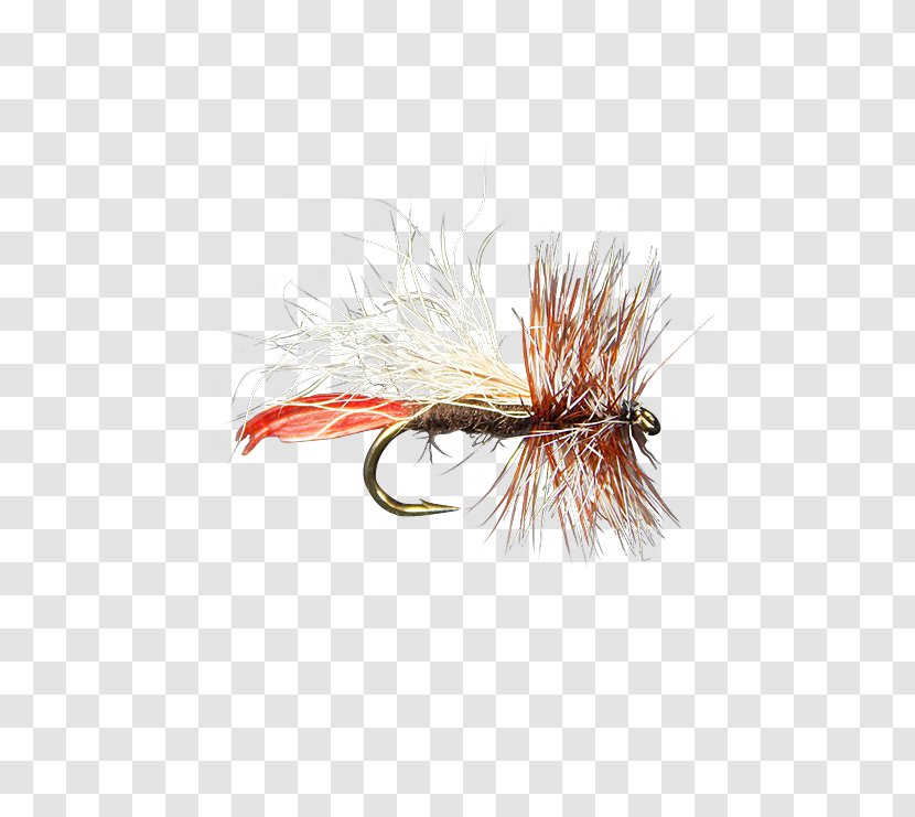 Artificial Fly Northern Pike Fishing Royal Wulff - Bait - Tying Transparent PNG