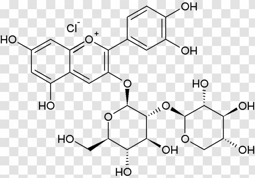 Flavonoid Eriodictyol Rutin Glycoside Luteolin - White - Sambucus Transparent PNG