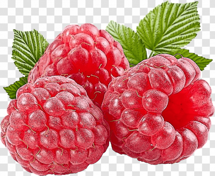 Berry Fruit Raspberry Blackberry Rubus Transparent PNG