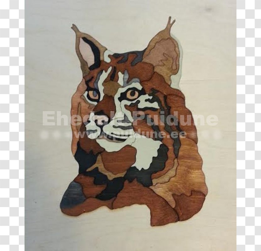 Tiger - Big Cats Transparent PNG