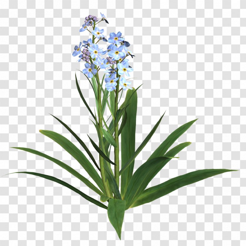 Cut Flowers Internet .net Lilium - Flowerpot - Flower Transparent PNG