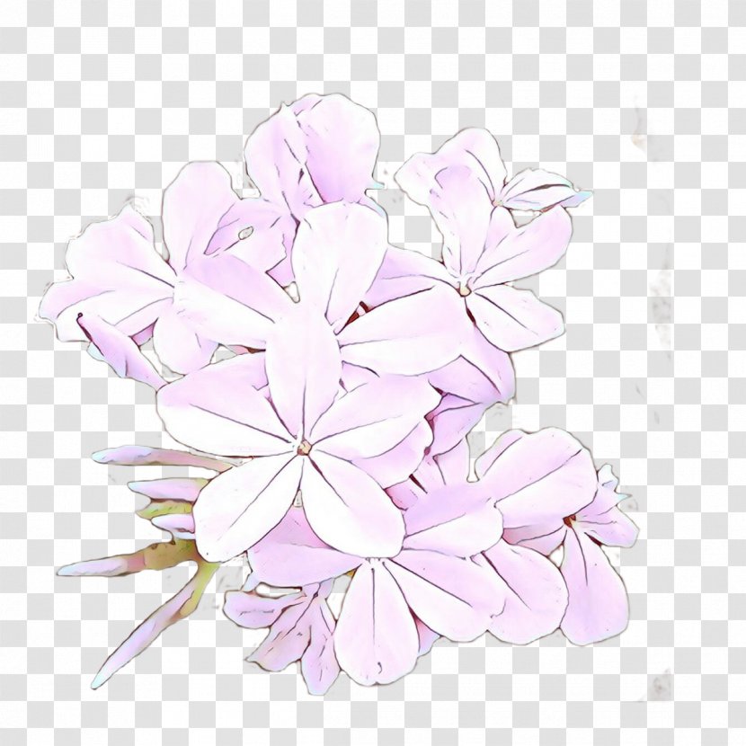 Lilac Petal Flower Pink Plant - Geranium Cut Flowers Transparent PNG