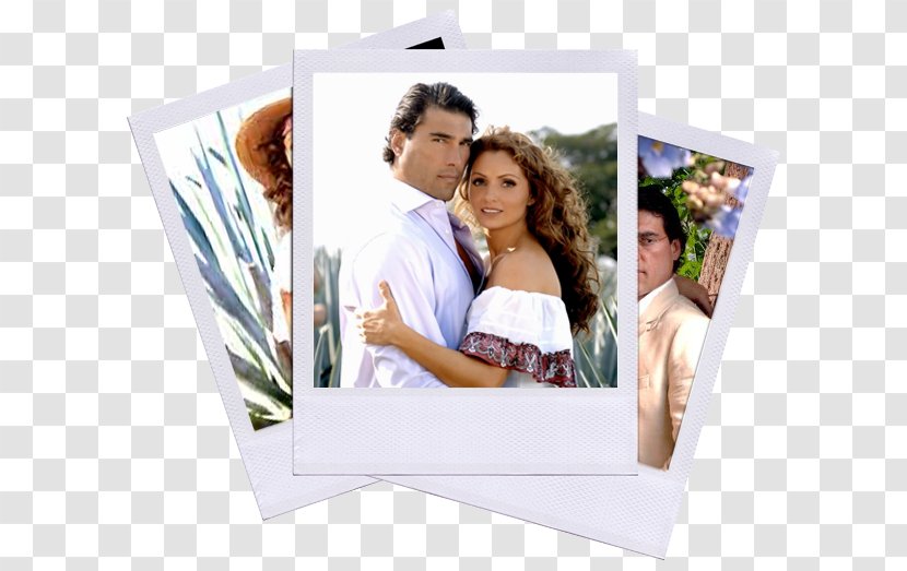 Telenovela Ay Gaviota Actor Fernsehserie Marriage - Triunfo Del Amor - Gaviotas Transparent PNG