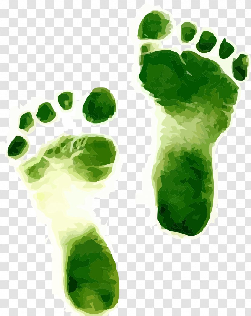 Carbon Footprint Environmentally Friendly Ecological Sustainability Sustainable Living - Natural Resource - Footprints Transparent PNG