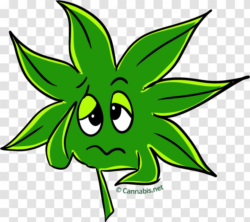 Kush Cannabis Sativa Leaf Clip Art - Flora Transparent PNG