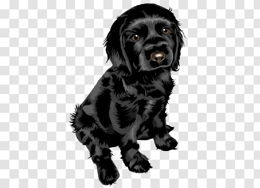 Puppy Yorkshire Terrier Bulldog Miniature Schnauzer Pug - Flat Coated Retriever - Cute Dog Transparent PNG