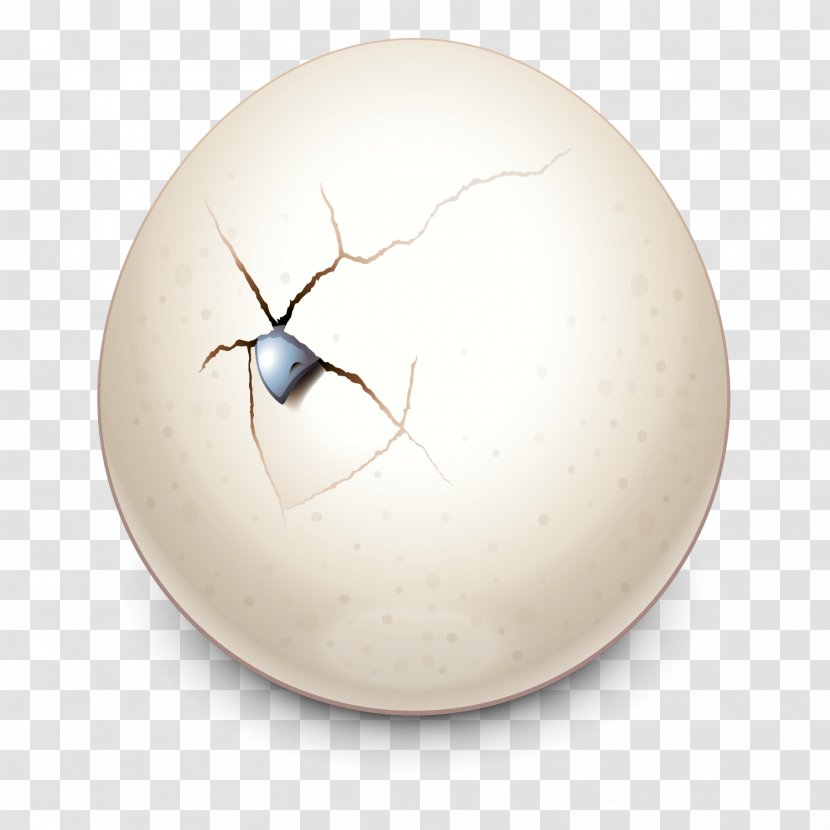 Insect Product Design Sphere - Egg Transparent PNG