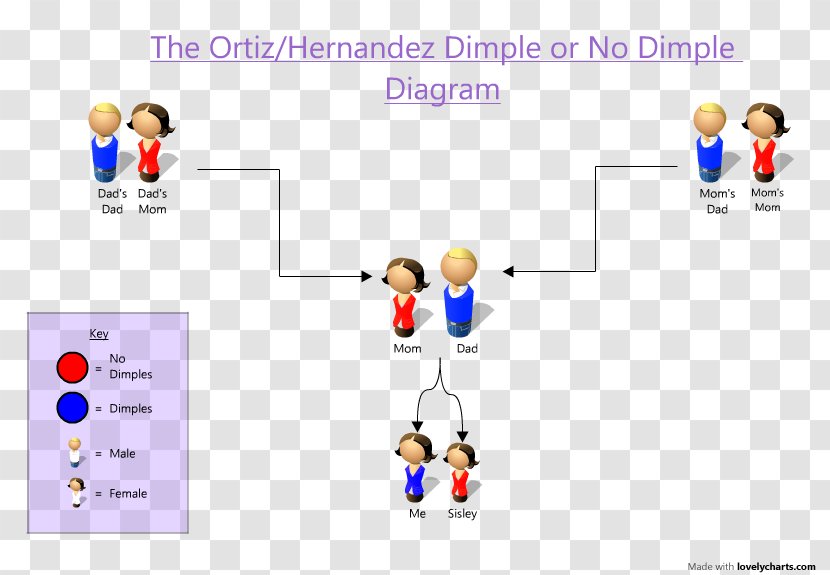 Brand Human Behavior Learning Technology - Parallel - My Family Members Transparent PNG