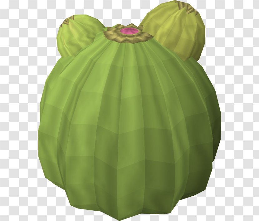 Cactaceae RuneScape Succulent Plant Desert - Fruit Transparent PNG