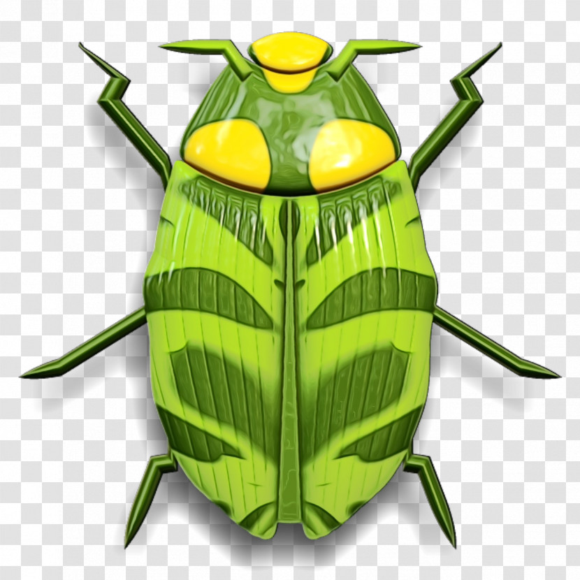 Insect Pest Bug Transparent PNG