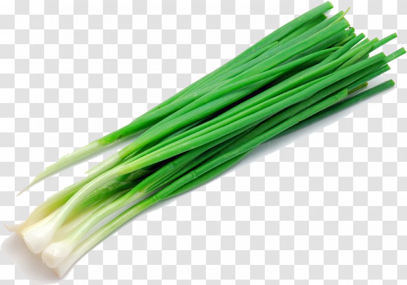 Onion Leek Salad Food Energy Herb - Chopped Green Transparent PNG