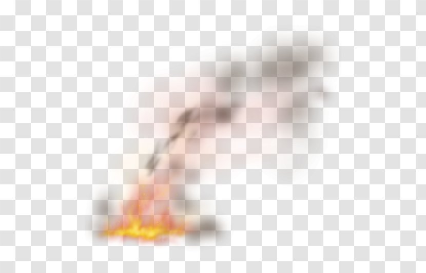 Flame Fire Clip Art - Tree Transparent PNG