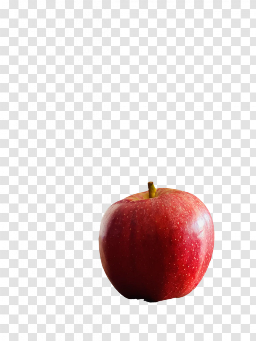 Fruit Apple Mcintosh Laboratory Apple Transparent PNG