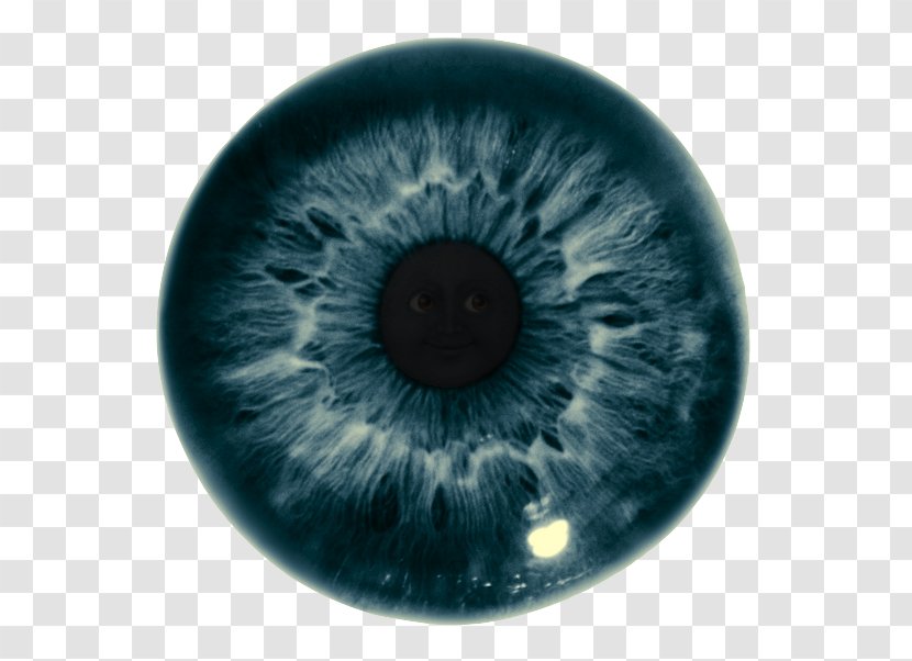 Iris Eye Color Pupil Human - Heart - Closeup Vector Transparent PNG