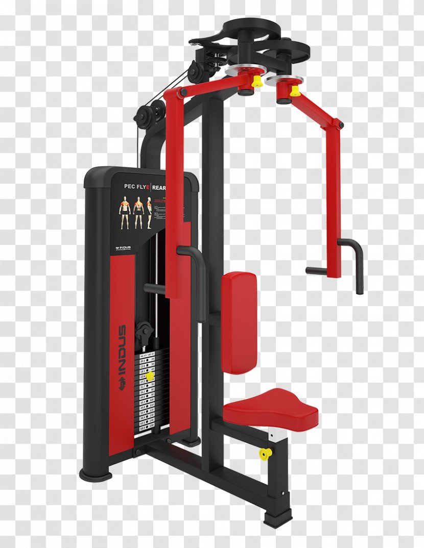 Fitness Centre Machine Fly Indus Gym Equipment Weight Training - Flyer Transparent PNG
